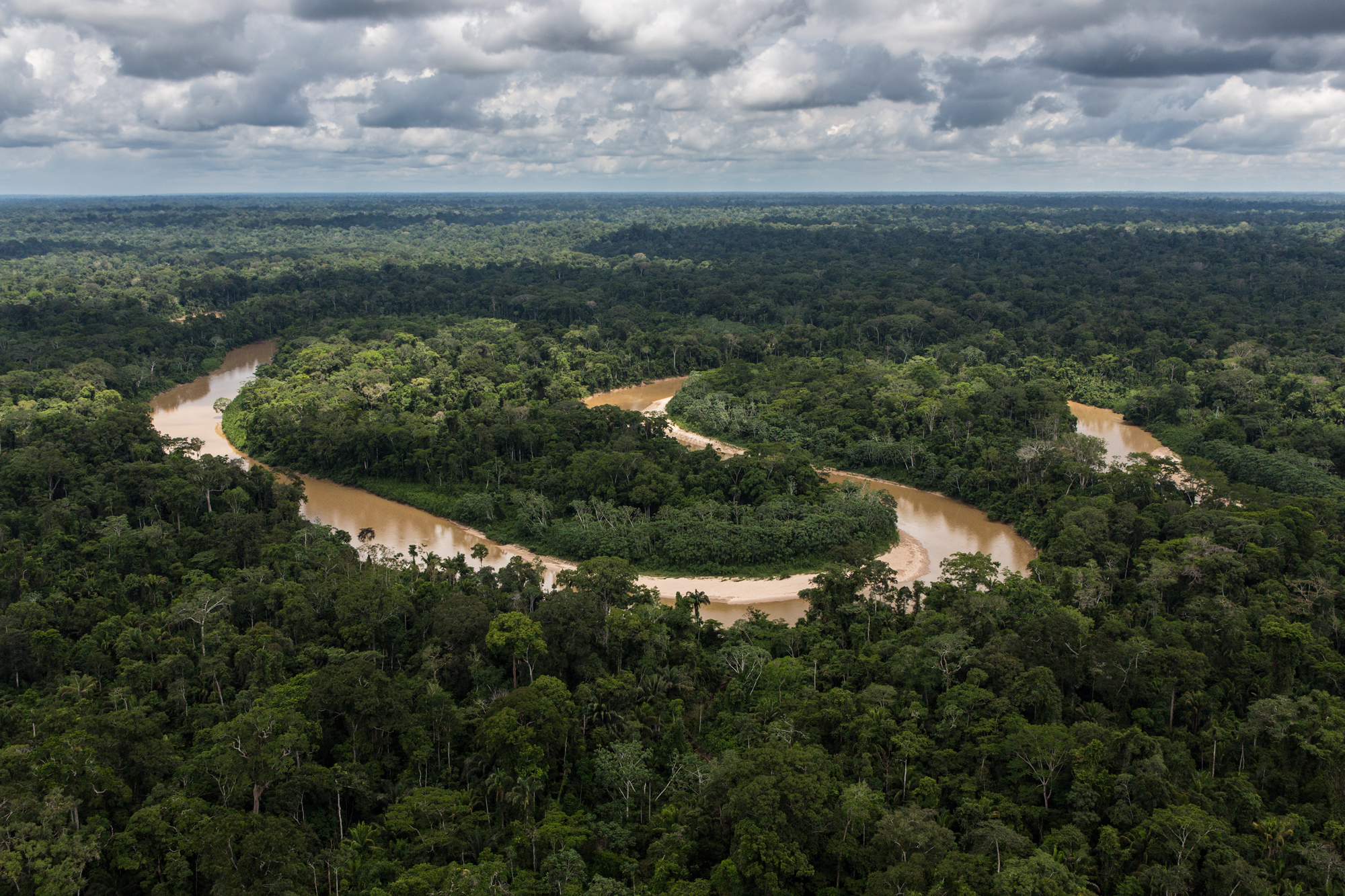 Amazon Rainforest